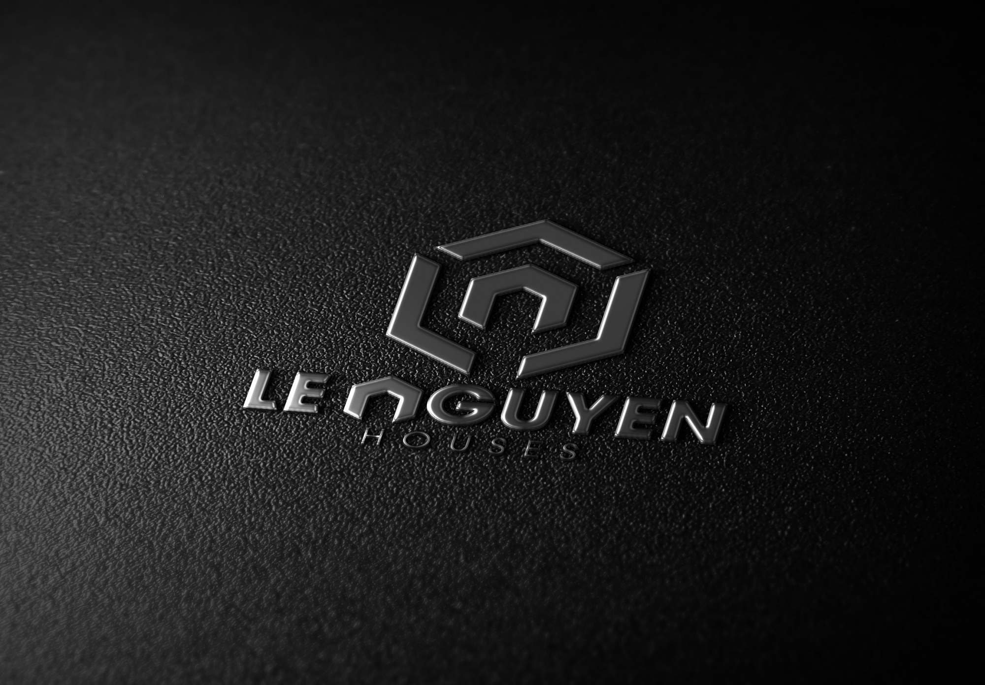 Logo- Le-Nguyen-House-03